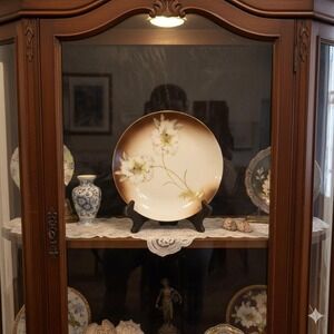 Vintage 8.5" Vessra Germany Handpainted Late 19th Century Plate